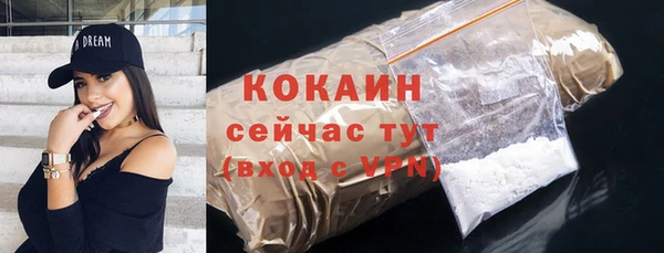 прущий лед Инта