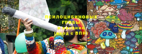прущий лед Инта