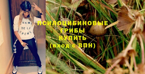 прущий лед Инта