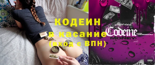 сатива Зерноград